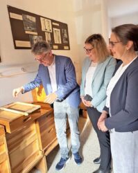 Was unterscheidet die Asiatische von der Europäischen Hornisse?