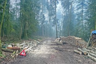 Ruhiges Waldjahr, bessere Preise 2026-1-23-ZE-vo-Wald-IMG_0302