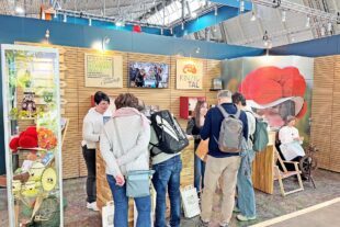 2026-1-26-ZE-Tourist-Info-Zell a. H. auf der CMT-CMT 2026 Messestand Mittlerer Schwarzald