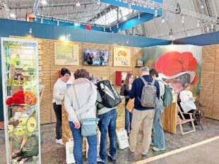 Von Museumsvielfalt bis 360°-Erlebnis im Storchenturm