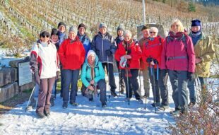 Wintersonne und Narrenmuseum