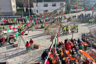 2026-2-11-ZE-UH-Eckwaldhexen UH-Baumstellen_Bild1