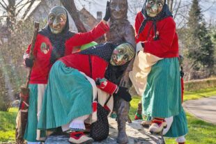 2026-2-11-ZE-UH-Eckwaldhexen UH-Baumstellen_Bild4