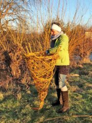 Weiden flechten im Bürgerpark