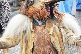 2026-2-18-NO-hv-Umzug Nordrach-DSC_3070