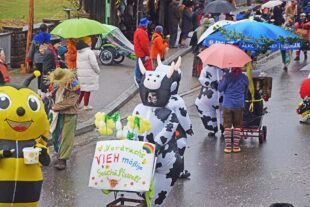 2026-2-18-NO-hv-Umzug Nordrach-DSC_3072