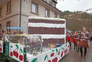 2026-2-18-OH-kal-Umzug Ersatzbild-aaaIMG_4119.jpg