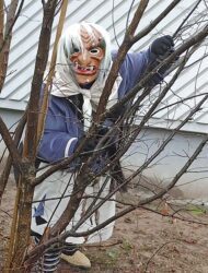 Hexen und Teufel aus dem Zeller Badwald