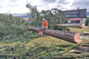 2026-2-2-ZE-UH-Verein-FVU_Arbeitseinsatz_Pause