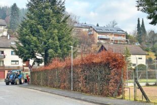 2026-2-2-ZE-UH-Verein-FVU_Arbeitseinsatz_Vorher