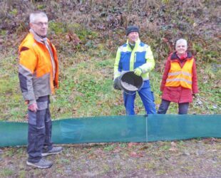 Bei fünf Grad beginnt das große Krabbeln
