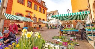 Städtle punktet mit Wochenmarkt