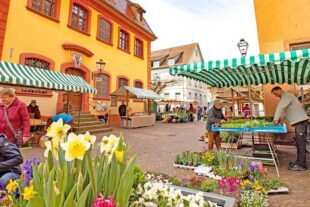 Städtle punktet mit Wochenmarkt 2026-2-23-von 2025-7-4-ZE-Borsi-2019-BR-Stadtmarketing-9-Staedtlemarkt