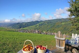 2026-2-25-OH-von 2019-9-20-OH-jil-Apfelmostwochen Apfel-Most-Wochen auf dem Harmersbacher Vesperweg
