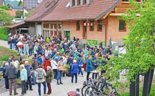 Setzlinge anziehen und an den Pflanzentausch denken