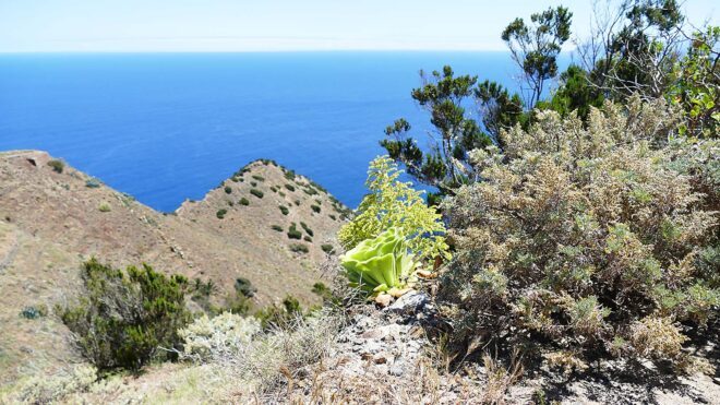 Förderverein Zeller Kunstwege: Die magische Insel im Atlantik