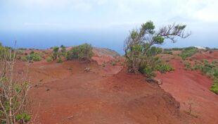 Die magische Insel im Atlantik