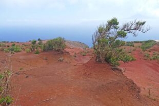 2026-2-27-ZE-Wolfgang Hilzensauer-La Gomera-P1710021