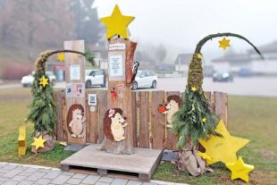 2026-2-4-NO-Tourist-Info-Kleine Stacheln grosse Hilfe - Spendenübergabe NorDi-Spendenübergabe.Spendenbaum