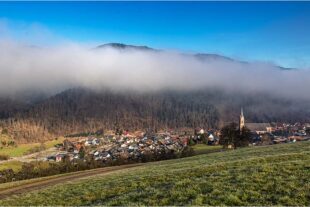 2026-2-6-OH-sp- Robert Schwendemann Naturbilder 226A0027-Zeitung