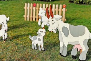 2026-3-11-NO-Touristen-Info NO-Nordi Osterweg Eröffn-Ein Augenblicki bei den Ziegen