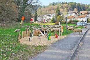 2026-3-11-NO-hv-Wanderschafherde-20260309_151251