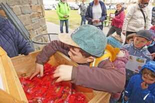 2026-3-16-NO-bia-Osterweg-und-die Schatztruhe ist auf