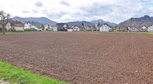 Neues Baugebiet »Hinter Kirchfeld III« nimmt Gestalt an