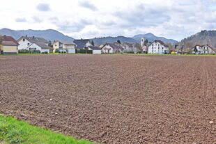 Neues Baugebiet »Hinter Kirchfeld III« nimmt Gestalt an 2026-3-18-BI-ds-GR Hinter Kirchfeld III_DSC_0717