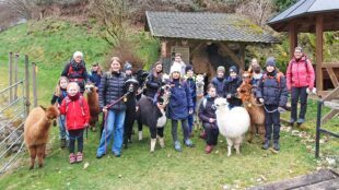 Mit Waldemar Neumayers Alpakas ging es hoch zur Kornebene