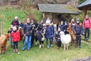 2026-3-18-OH-privat-Sternsinger-Alpakawanderung-IMG-20260316-WA0011