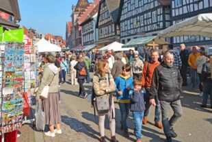 2026-3-23-ZE-hps-Frühlingsfest-DSC_7350