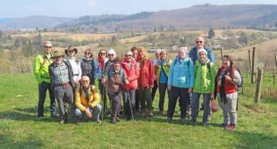 Frühjahrswanderung durch Reben und Hohlwege