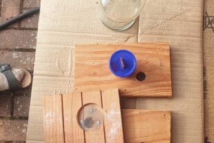 2026-3-25-Harmersbachtal-Herbert Bruder- Asiatische Hornisse Königin fangen 20260321_153101