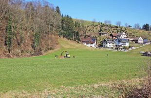 Zauneidechsen-Hotel im neuen Gewerbegebiet „Wittum“ gebaut
