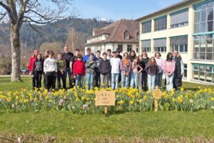 2026-3-25-ZE-Mirjam Rombach-Erfolgreiches Pflanzprojekt-blumenbeet