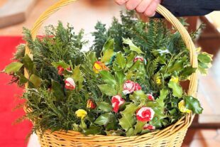 2026-3-31-BI-PB-lth-Palmsonntag 260329 Palmsonntag 3