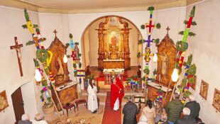 Palmstangen reichen bis zur Decke der Nikolauskirche