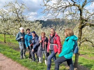 Frühlingswanderung auf dem Brennersteig