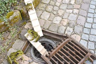 2026-3-31-ZE-hps-Froschleiter-DSC_7584-ChatGPT Image 31. März 2026, 08_56_34