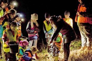 2026-3-9-BI-PB-Felix Schubert- Amphibienrettung 8b51c095-c2d5-40a0-8ef8-d4c343259a1f