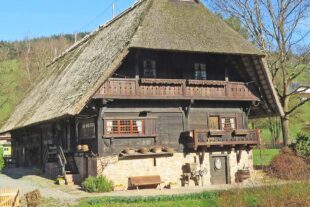 2026-3-9-ZE-UH-ga- Fürstenberger Hof IMG_1008