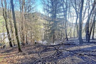 2026-4-10-NO-Feuerwehr-Waldbrand-IMG_5913