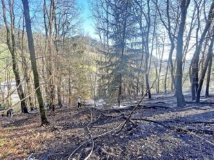 Funkenflug setzt steiles Waldgebiet im Gewann Heidenbühl in Brand