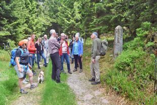Zeitreise auf den Spuren von Glasmachern und Höhenbauern