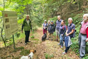 2026-4-15-NO-Touristen-Info-Unterer Dörrinbach Höhenhöfe Wanderung