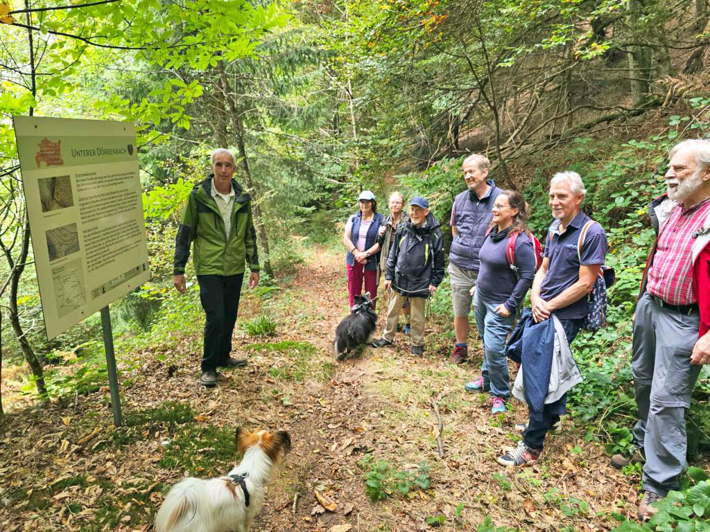 2026-4-15-NO-Touristen-Info-Unterer Dörrinbach Höhenhöfe Wanderung