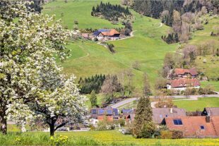 2026-4-15-OH-Robert Schwendemann-Frühling in OH-226A0144-Bearbeitet