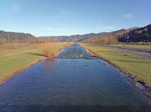 Mehr Schutz und Natur an der Kinzig