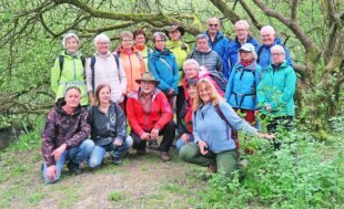 Den wilden Auenwald erwandert